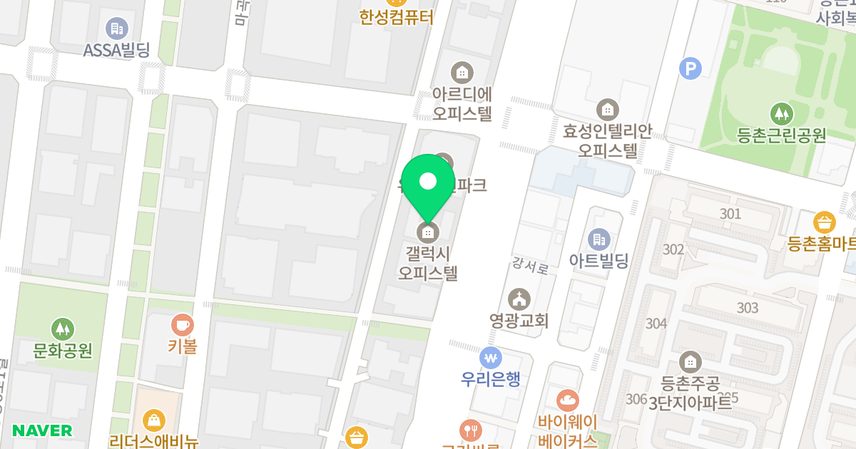 갤럭시인텔리젼스 위치 지도 - 서울특별시 강서구