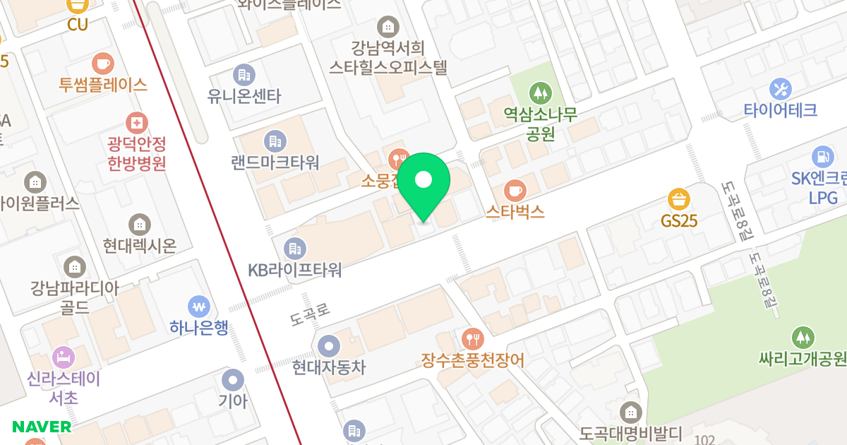 강남웅진베어스빌 위치 지도 - 서울특별시 강남구 도곡로 113