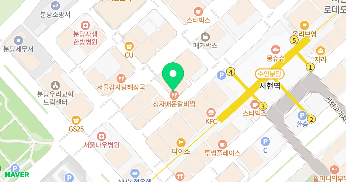 천지오피스텔 위치 지도 - 경기도 성남시 분당구 황새울로330번길 16
