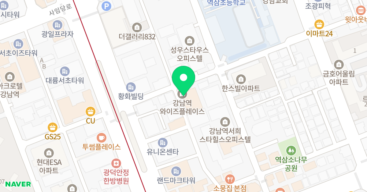 강남역 와이즈 플레이스 위치 지도 - 서울특별시 강남구 강남대로66길 14