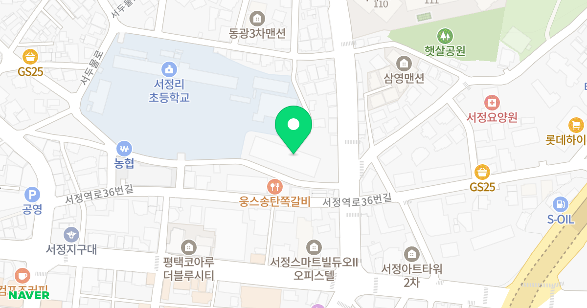 휴먼파크리움 위치 지도 - 경기도 평택시 서두물로35번길 113