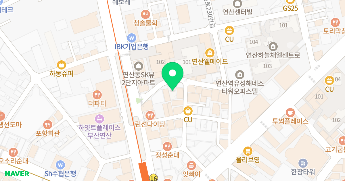 엘리시움 위치 지도 - 부산광역시 연제구 중앙대로1124번길 14