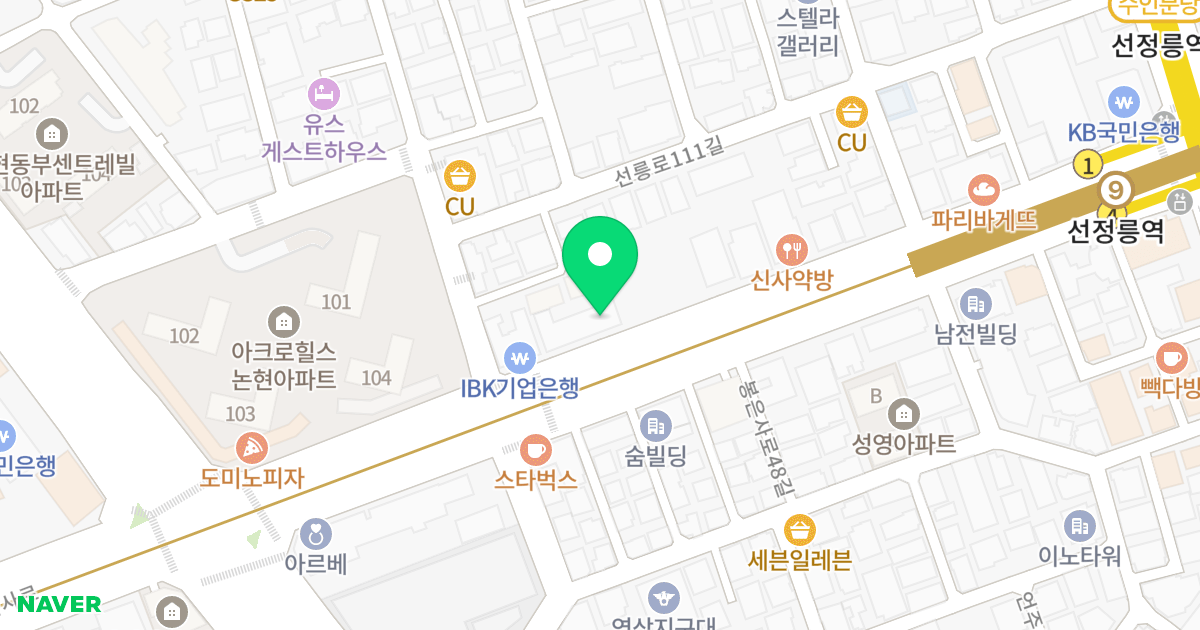 이안 논현 위치 지도 - 서울특별시 강남구 봉은사로 307