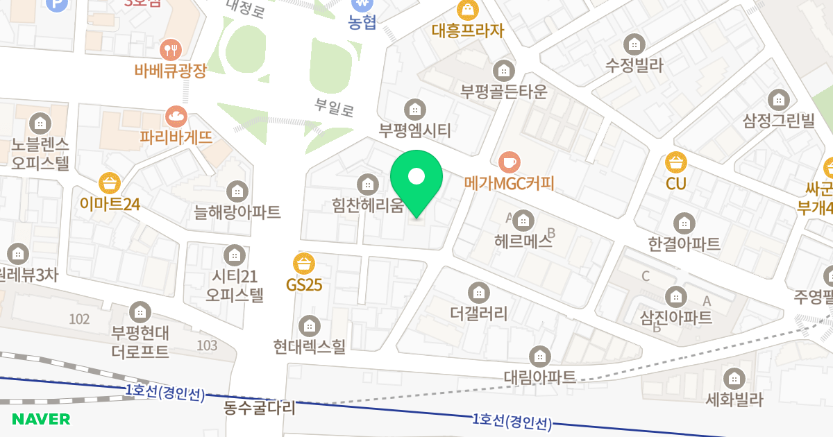 늘푸른아파트 위치 지도 - 인천광역시 부평구 장제로52번길 15