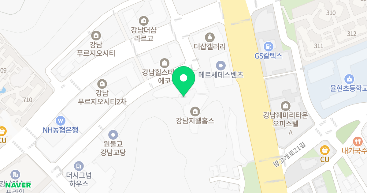 강남 지웰홈스 위치 지도 - 서울특별시 강남구 자곡로 204-5
