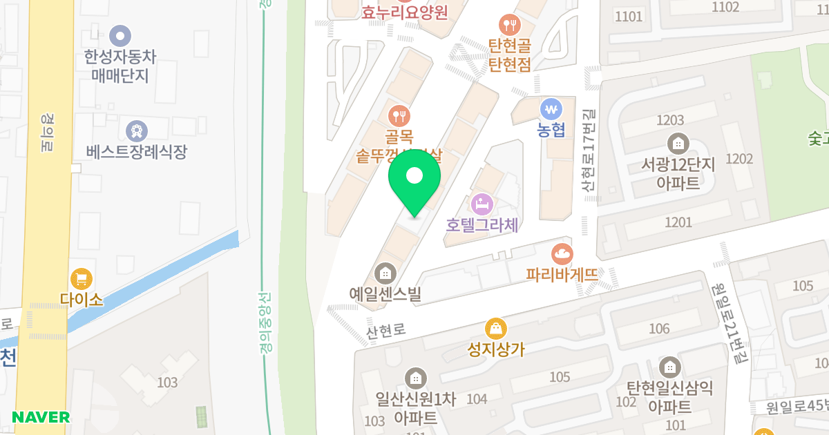 대한 베스트빌 위치 지도 - 경기도 고양시 일산서구 일현로 30
