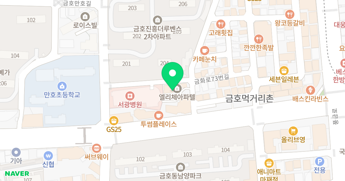 금호동서진엘리체오피스텔 위치 지도 - 광주광역시 서구 금화로73번길 5