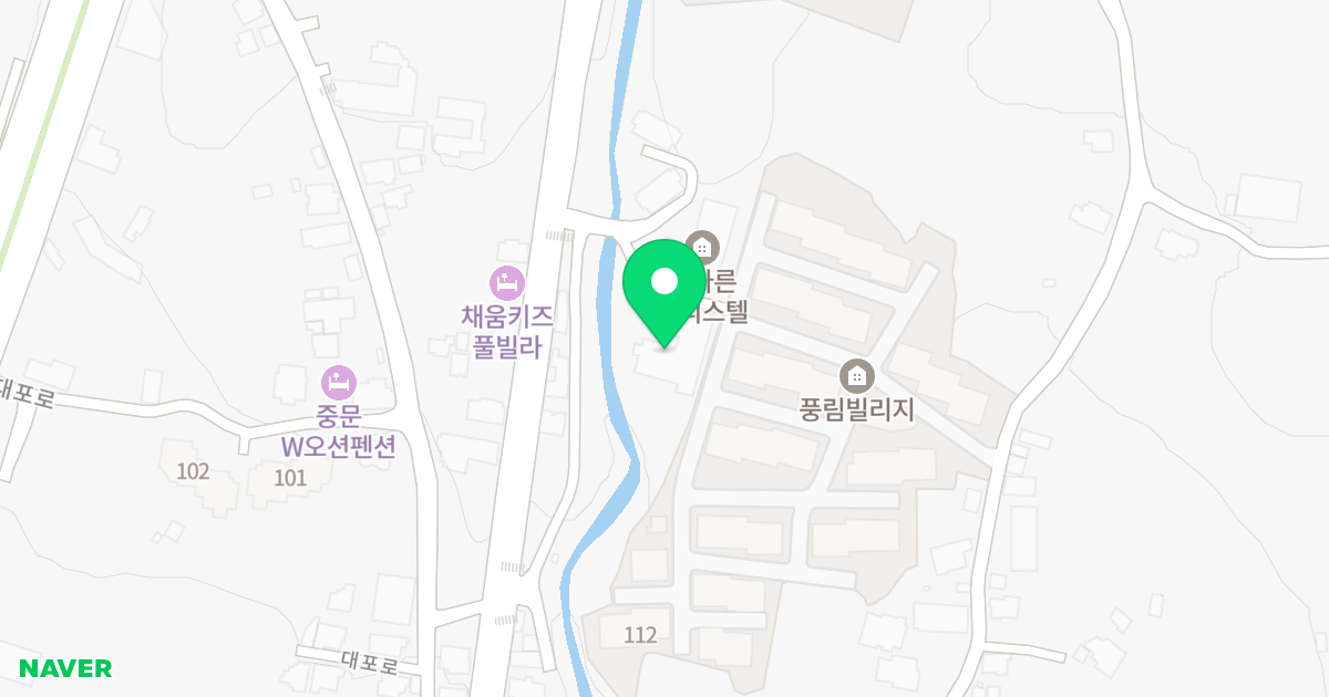 더바른오피스텔 위치 지도 - 제주특별자치도 서귀포시 대포복개로 95
