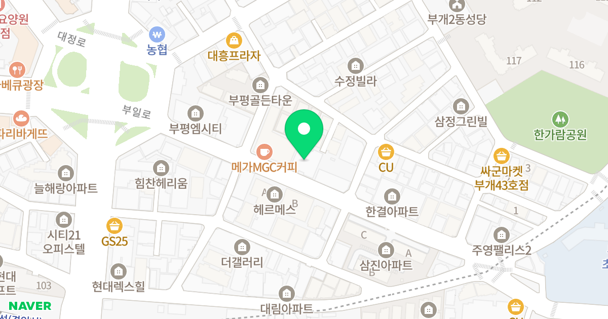 골드캐슬 위치 지도 - 인천광역시 부평구 부일로 13