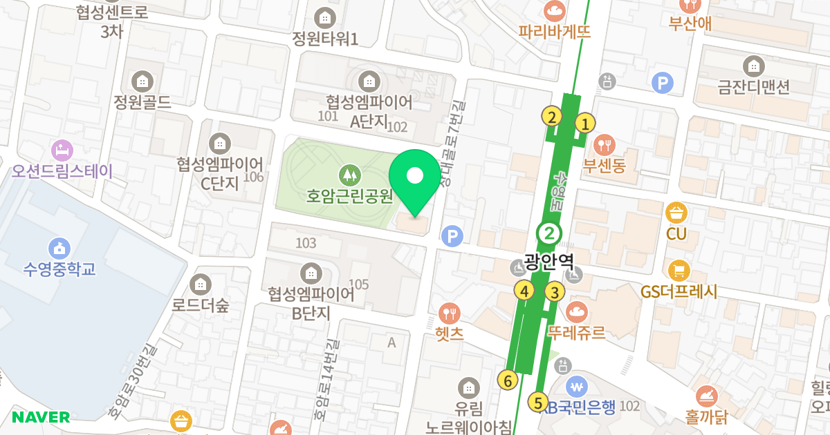 호암 팰리스 위치 지도 - 부산광역시 수영구 장대골로7번길 20
