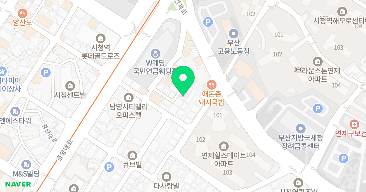 (867-35) 위치 지도 - 부산광역시 연제구 연수로11번길 100-12