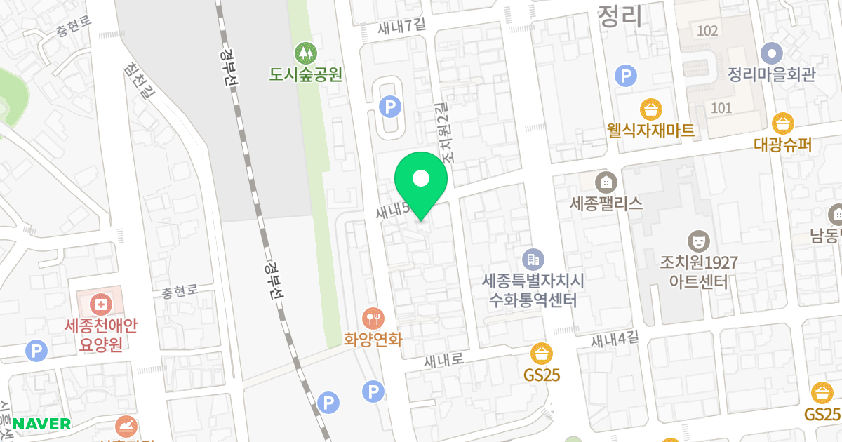 주건축물제1동(37-4) 위치 지도 - 세종특별자치시 조치원읍 새내5길 17