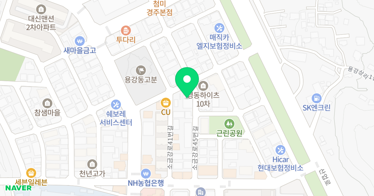 대안오피스텔 위치 지도 - 경상북도 경주시 양정로314번길 8