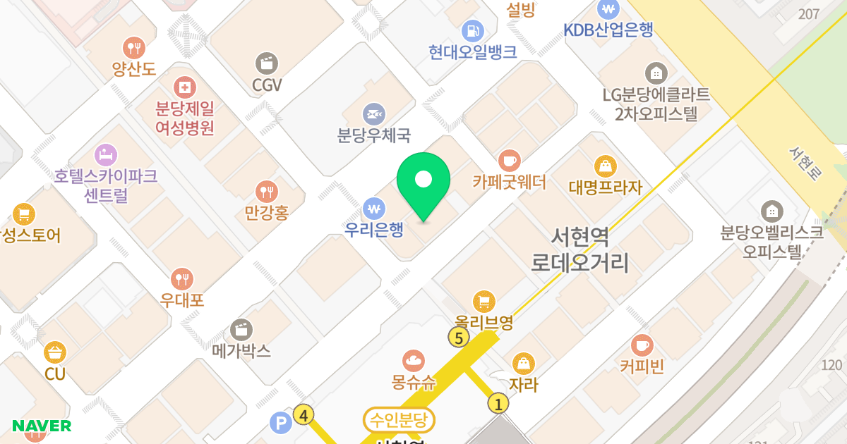 금호리빙스텔 위치 지도 - 경기도 성남시 분당구 황새울로342번길 11
