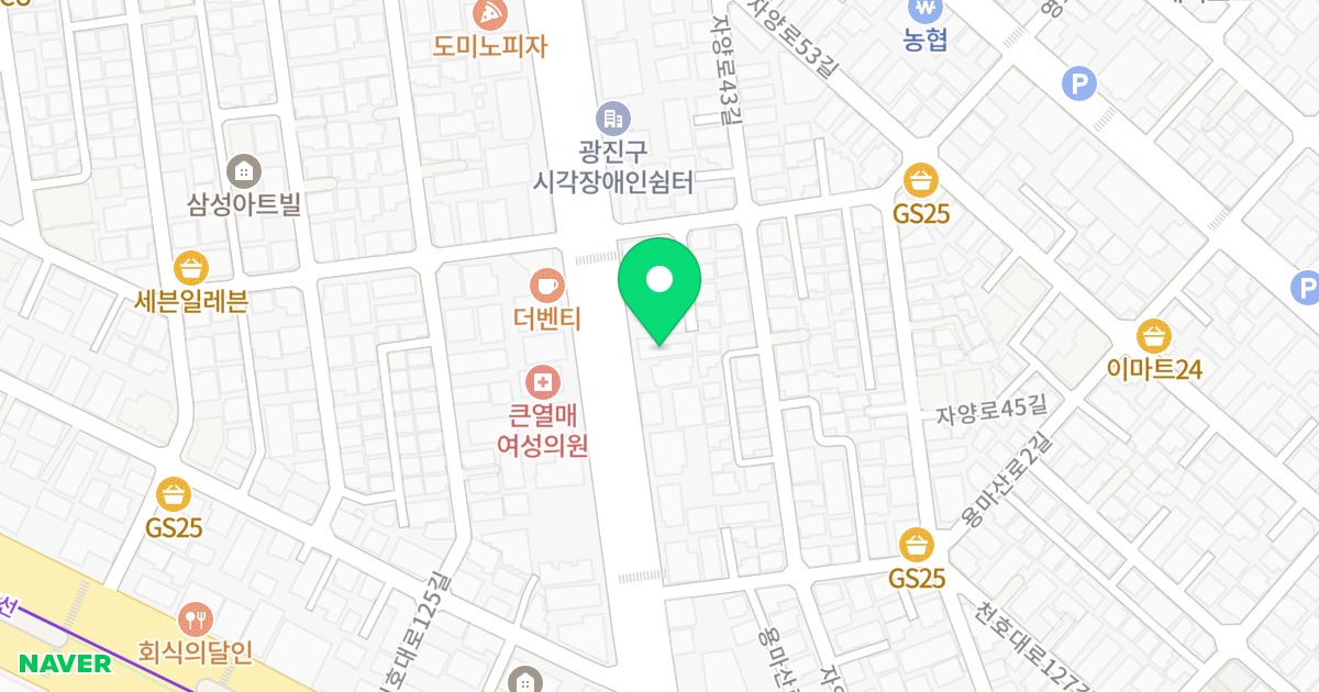 지·오오피스텔 위치 지도 - 서울특별시 광진구 용마산로 24-1