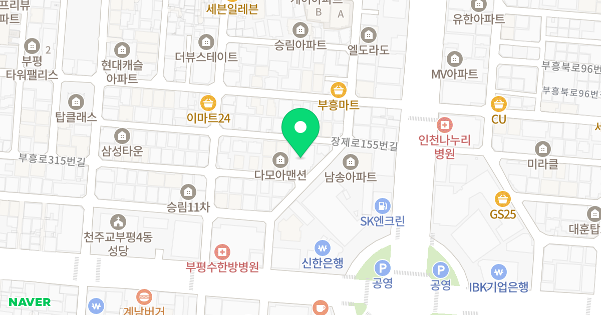 리코팰리스 위치 지도 - 인천광역시 부평구 부흥로333번길 19-2