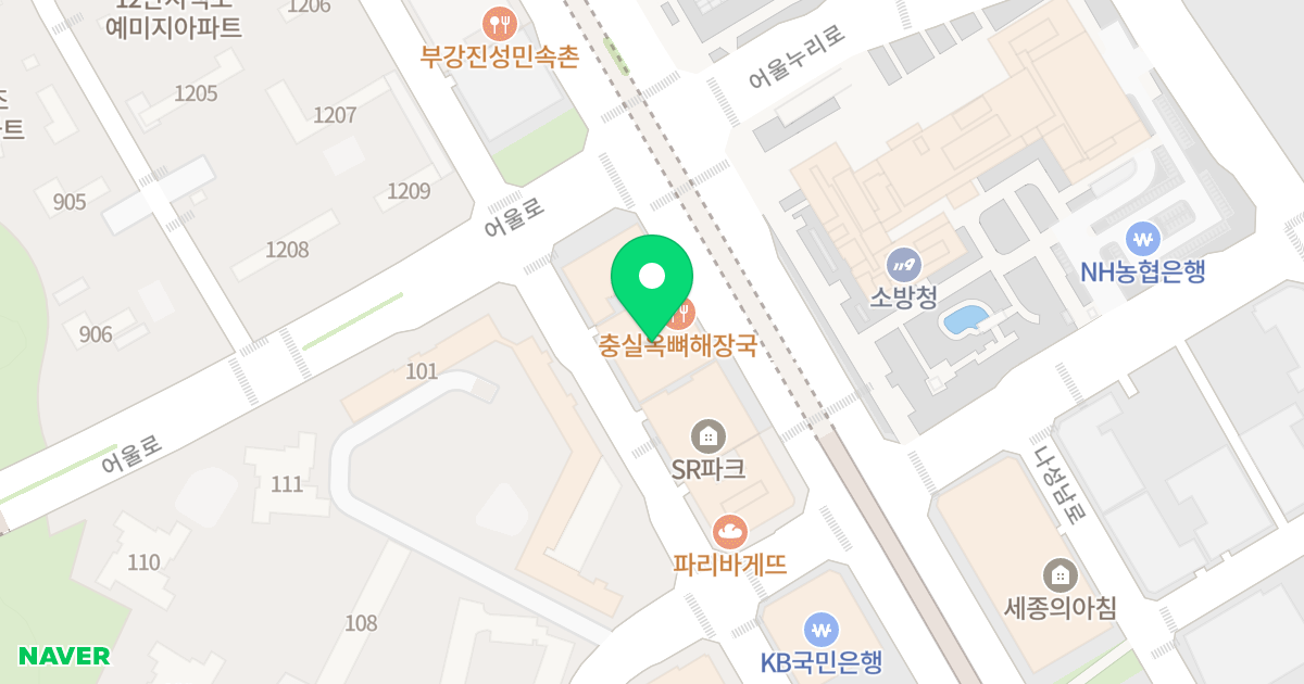 세진이너스빌 위치 지도 - 세종특별자치시