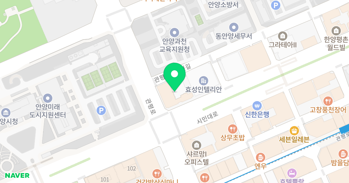 평촌아크로팰리스 위치 지도 - 경기도 안양시 동안구 시민대로 267