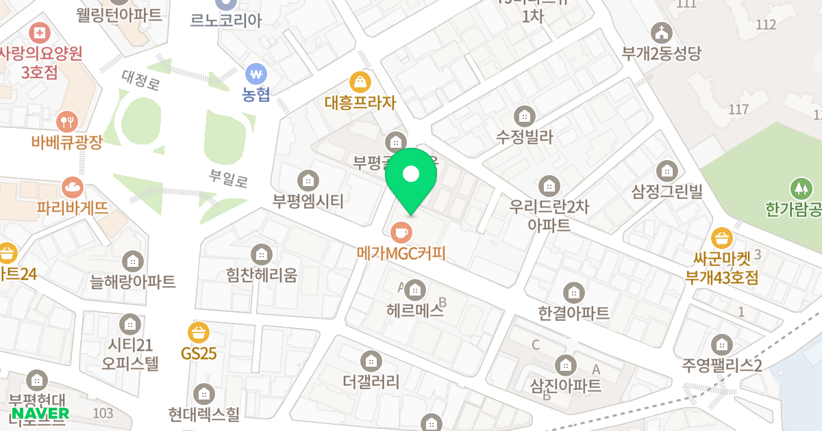 아이앤비아파트 위치 지도 - 인천광역시 부평구 부일로 11