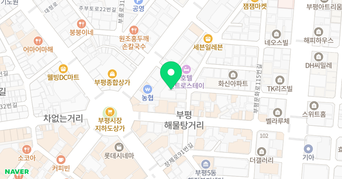부평라일플로리스2차 위치 지도 - 인천광역시 부평구 장제로101번길 35