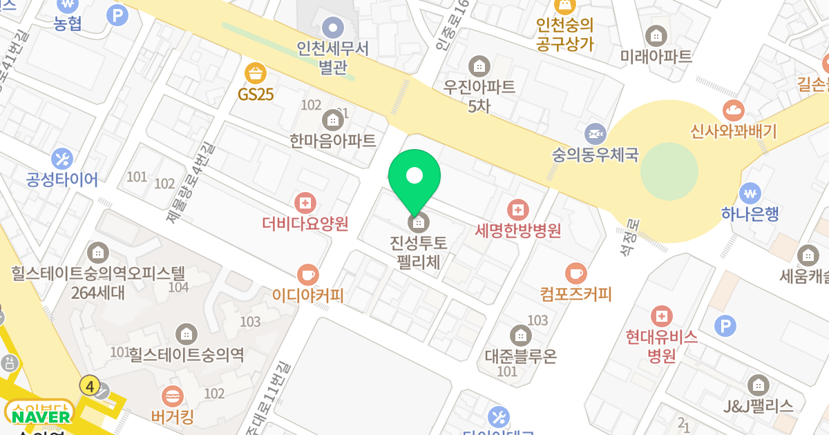 진성투토펠리체 위치 지도 - 인천광역시 미추홀구 인주대로11번길 42