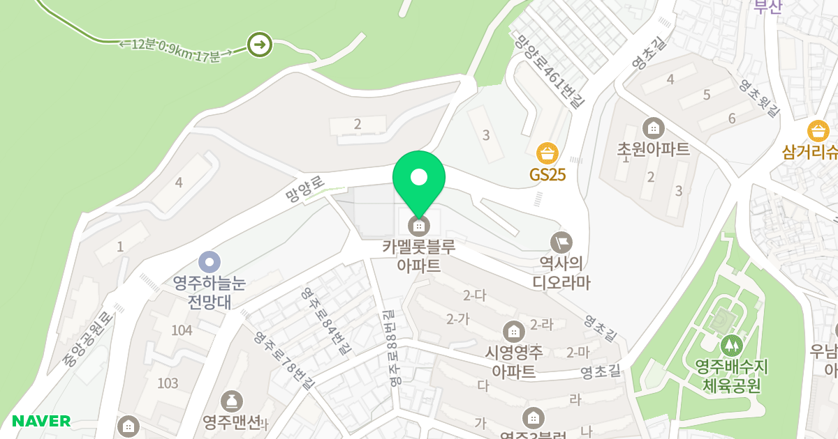 카멜롯 블루 위치 지도 - 부산광역시 중구 영주로 91