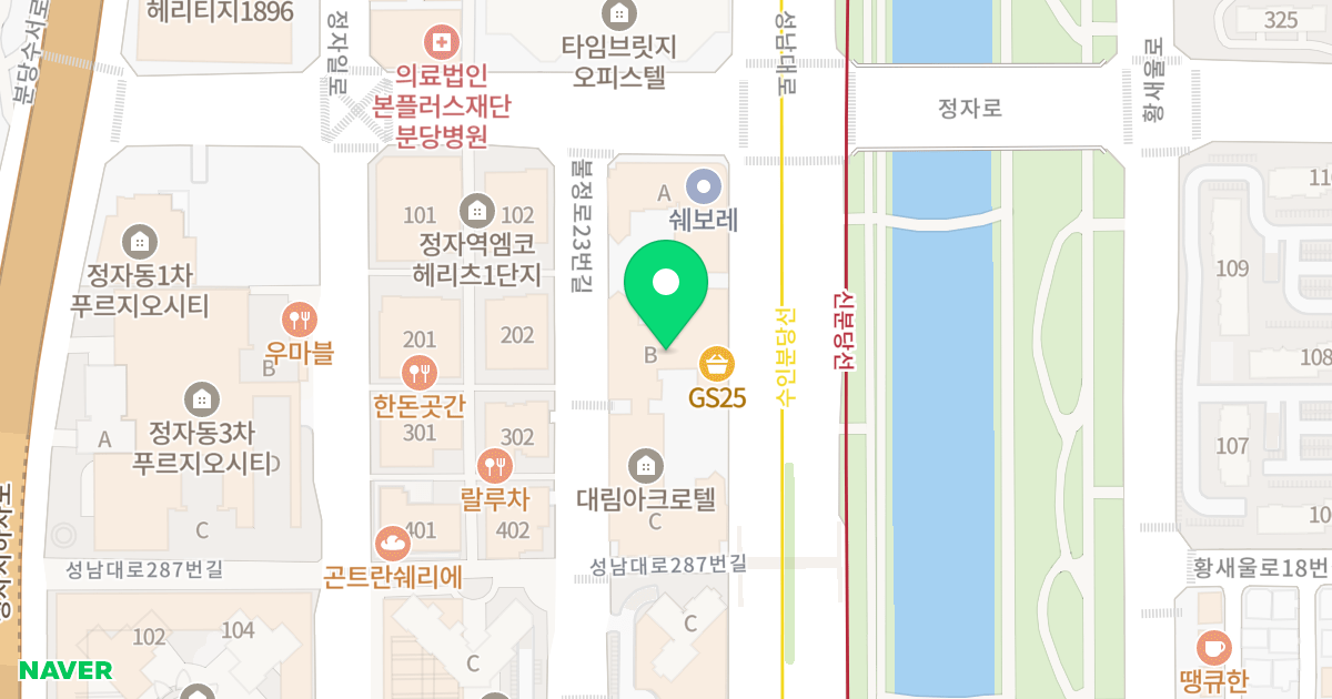 대림아크로텔 위치 지도 - 경기도 성남시 분당구 성남대로 295