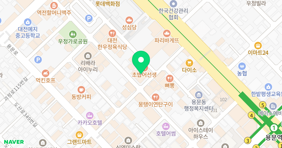 나이스 팰리스 위치 지도 - 대전광역시 서구 도솔로388번길 52