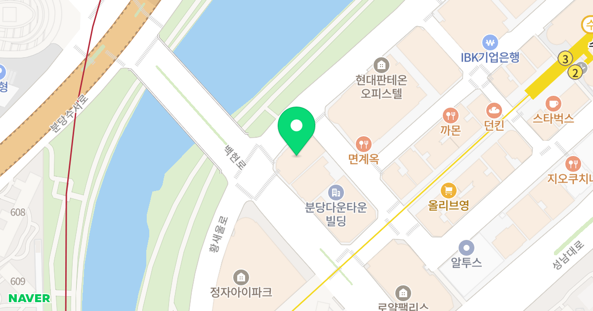 수내동 퍼스티플러스오피스텔 위치 지도 - 경기도 성남시 분당구 황새울로 196