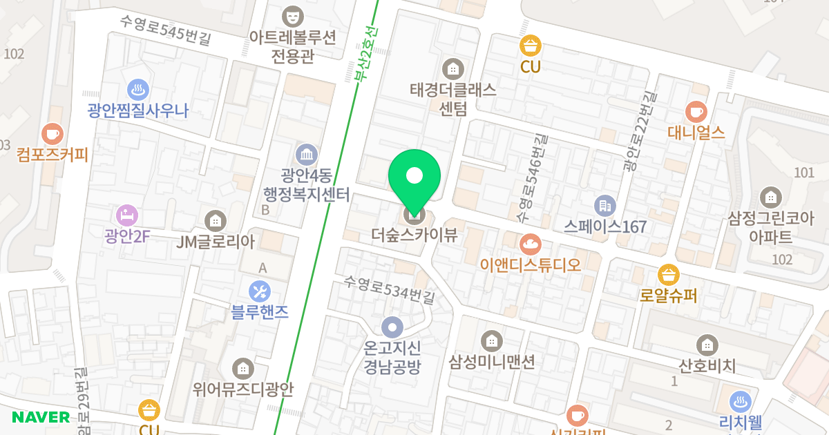 더숲스카이뷰 위치 지도 - 부산광역시 수영구 수영로540번길 12