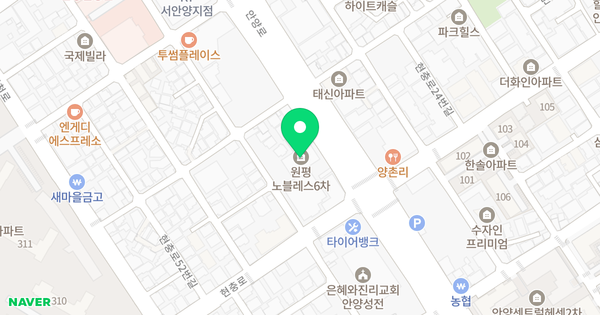 원평 노블레스 6차 위치 지도 - 경기도 안양시 만안구 안양로 207