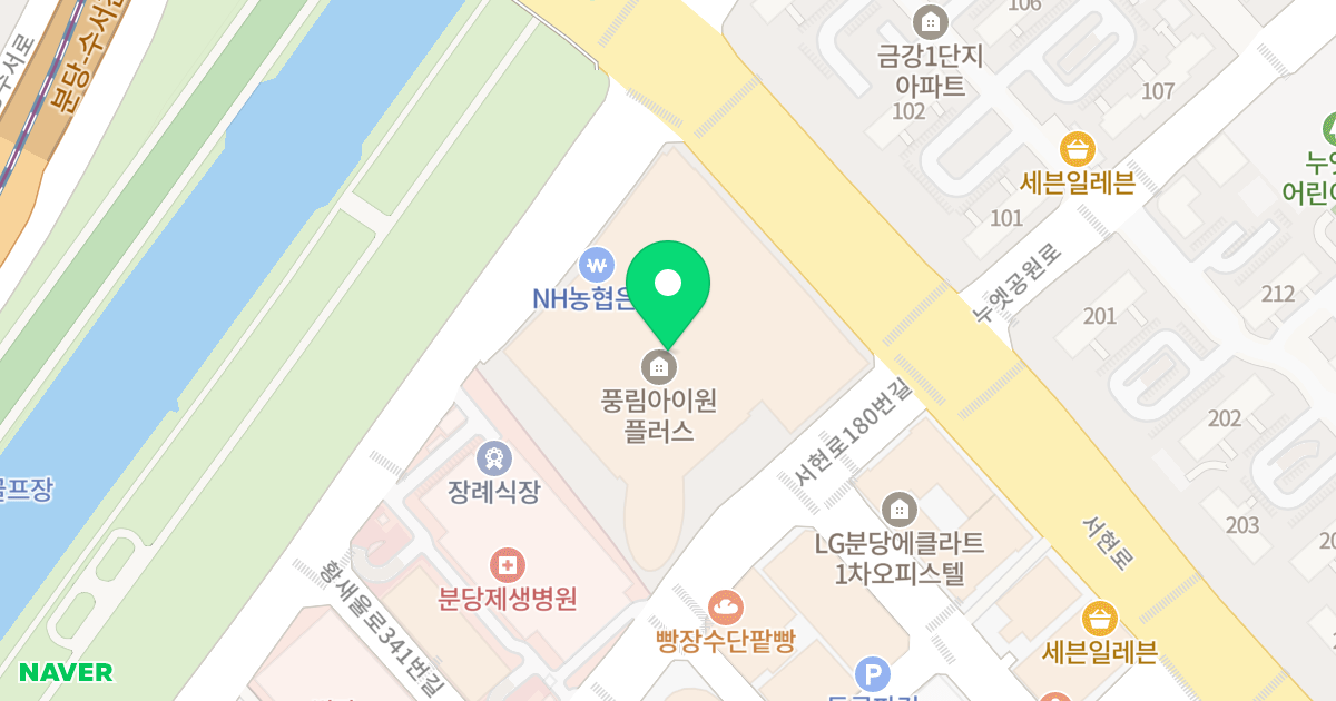 분당풍림아이원플러스오피스텔 위치 지도 - 경기도 성남시 분당구 서현로 170