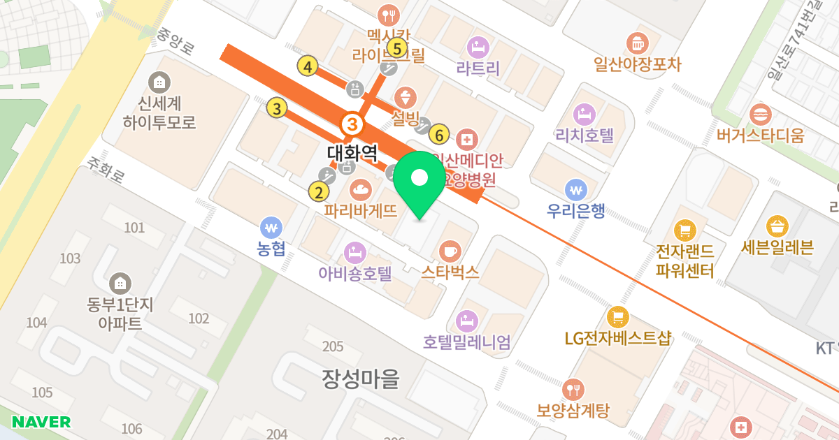 영림브레아 위치 지도 - 경기도 고양시 일산서구 중앙로 1563
