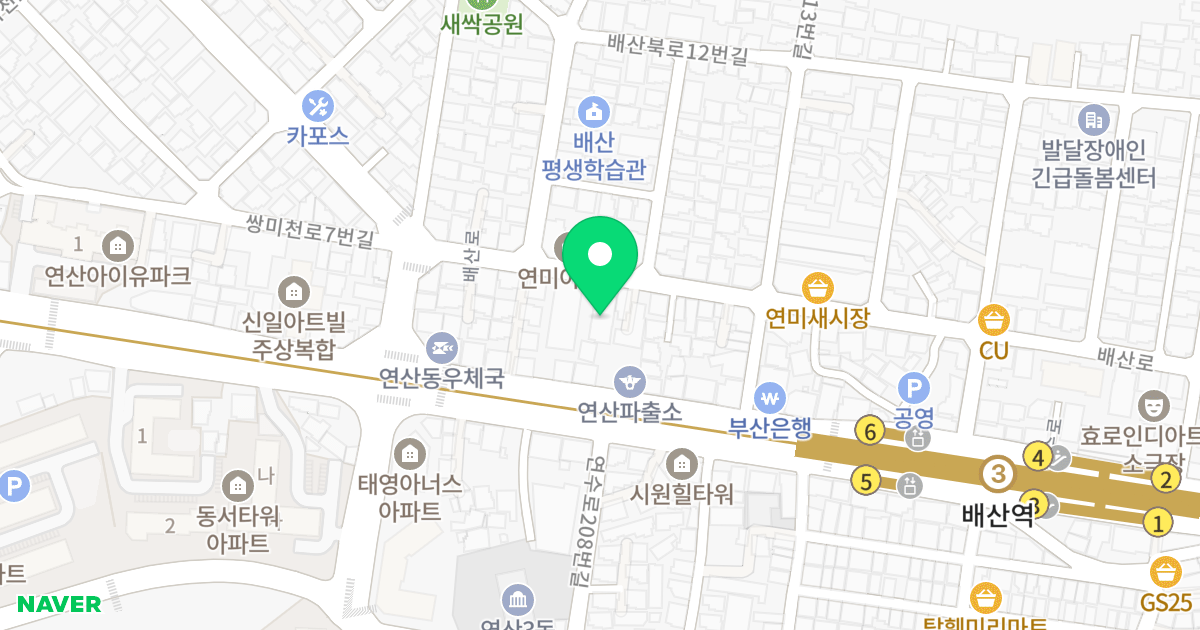 골든 리치빌 위치 지도 - 부산광역시 연제구 배산로 10-1