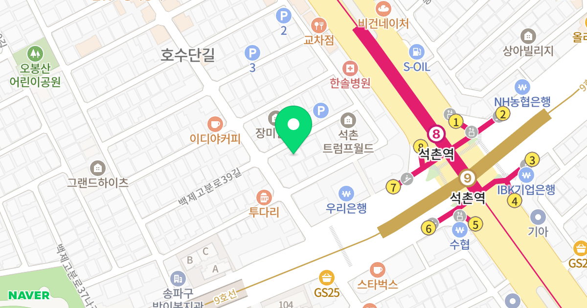 (175-6) 위치 지도 - 서울특별시 송파구 백제고분로39길 10-6