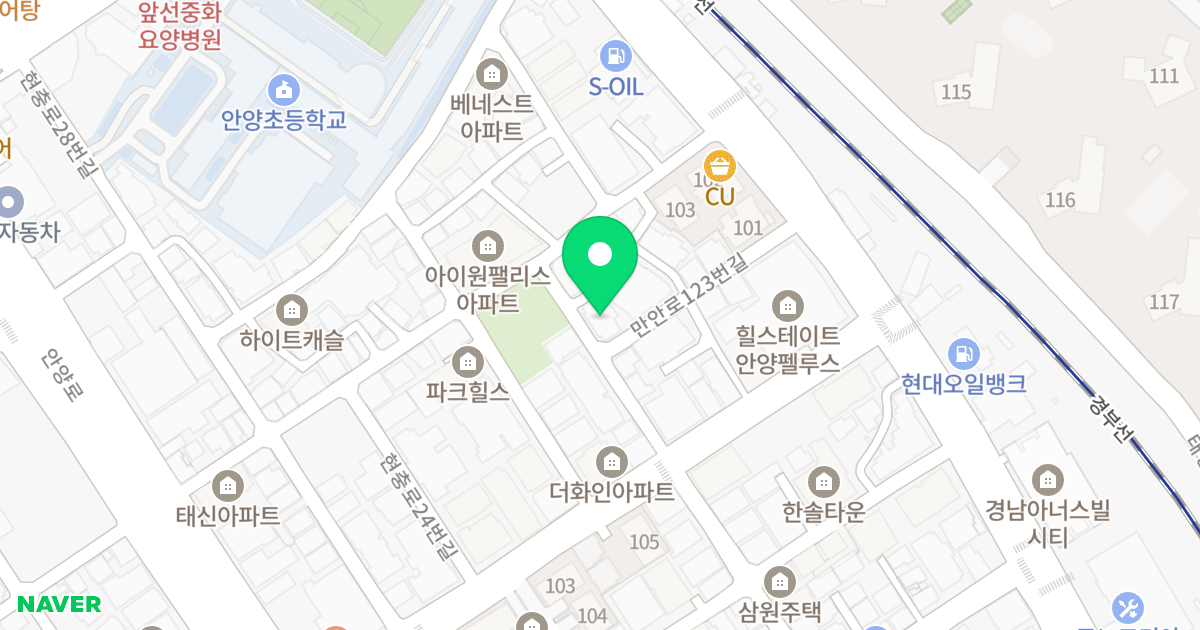 다솜캐슬 위치 지도 - 경기도 안양시 만안구 만안로123번길 20
