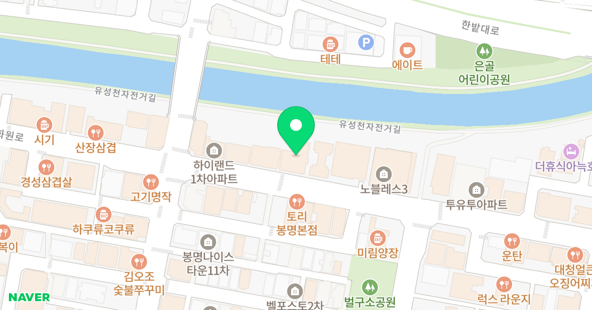 나이스타운 12차 위치 지도 - 대전광역시 유성구 문화원로 113