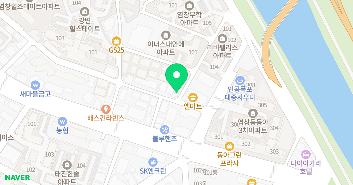리젠펠리스오피스텔 위치 지도 - 서울특별시 강서구 양천로77길 76