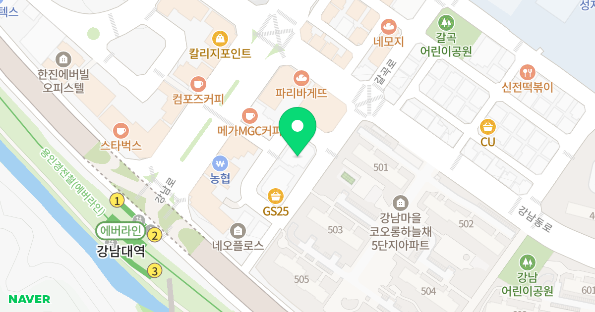 강남 피아스 위치 지도 - 경기도 용인시 기흥구 강남동로 12