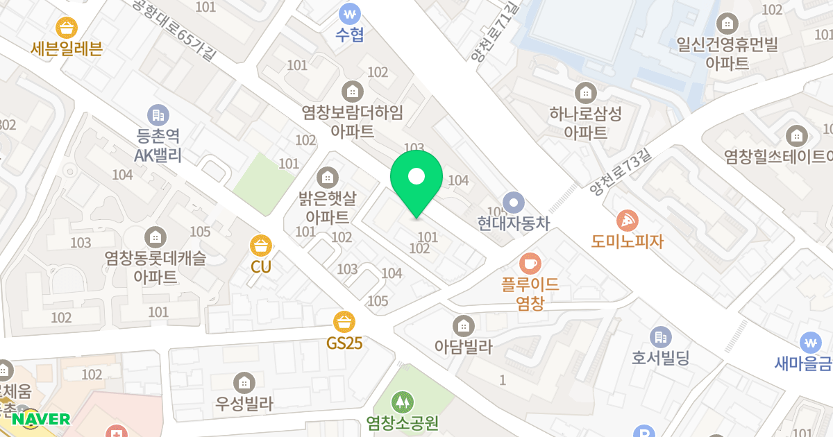 시원트레벨 위치 지도 - 서울특별시 강서구 공항대로65가길 11