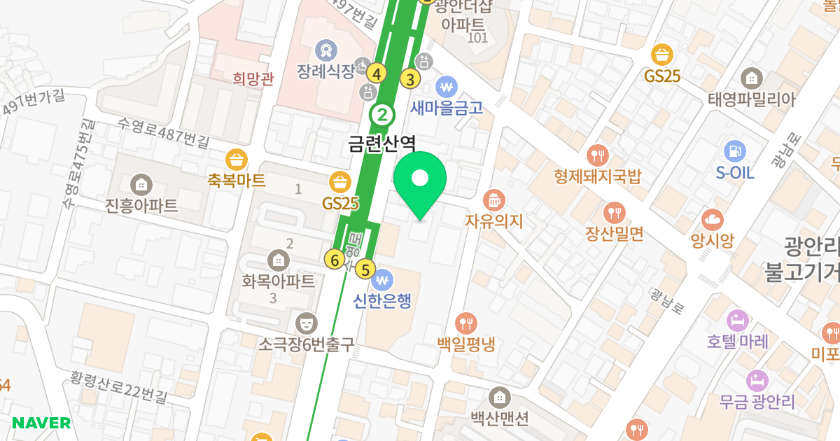 이린타워빌2 위치 지도 - 부산광역시 수영구 수영로488번길 8
