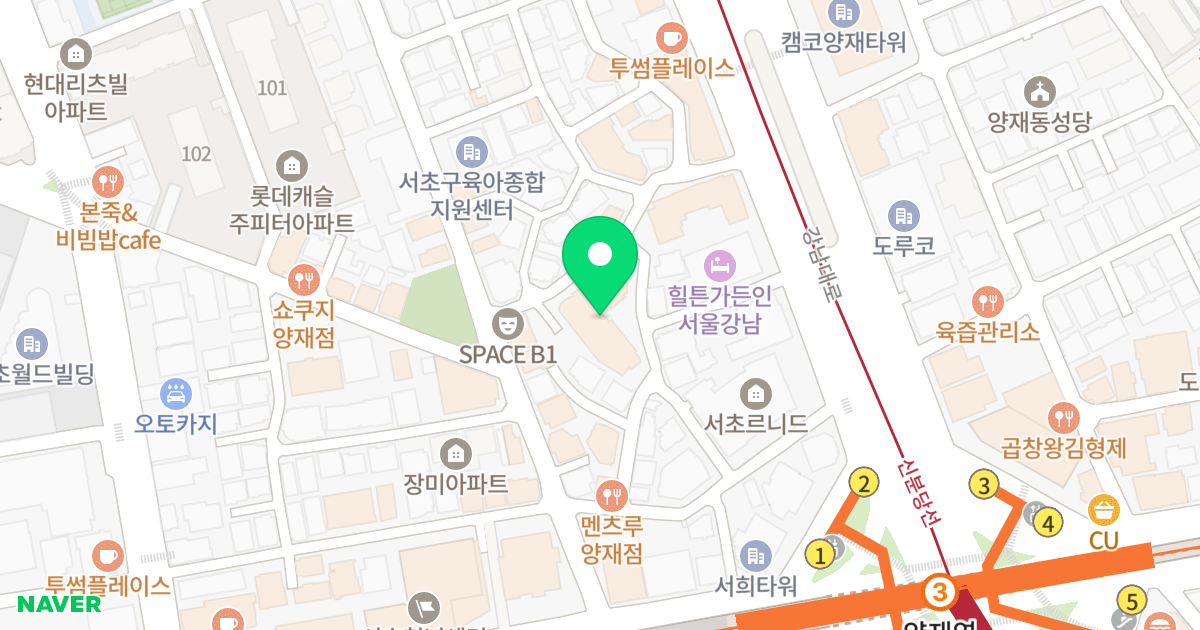 한라비발디스튜디오193 위치 지도 - 서울특별시 서초구 강남대로39길 15-10