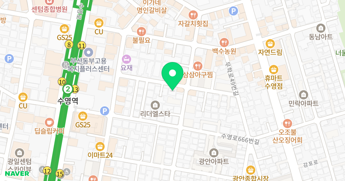 탑팰리스 위치 지도 - 부산광역시 수영구 수영로674번길 20
