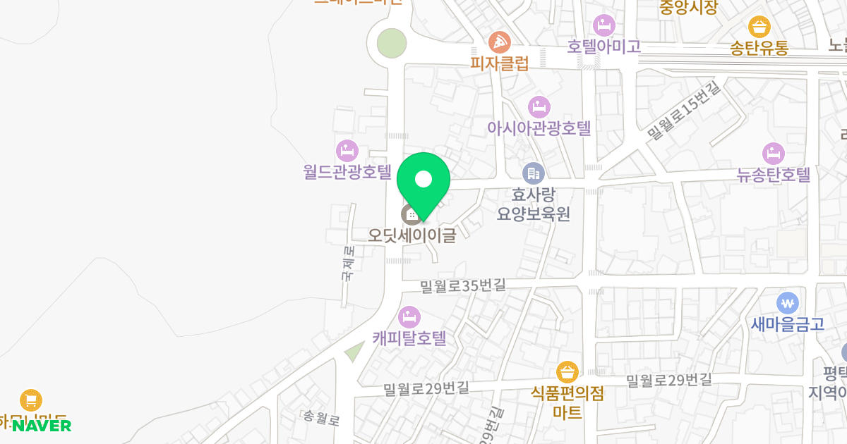 오딧세이이글 오피스텔 위치 지도 - 경기도 평택시 국제로 114