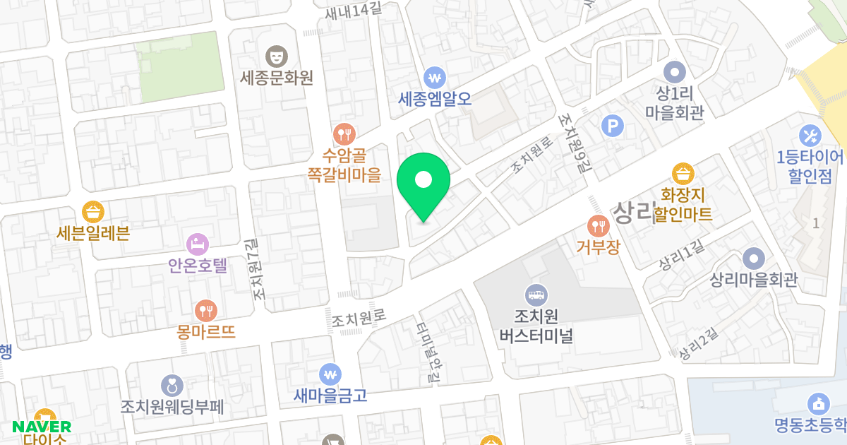 제이드팰리스 위치 지도 - 세종특별자치시 조치원읍 조치원로 45-7