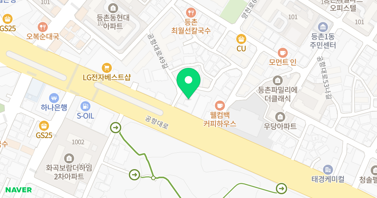 태양빌딩 위치 지도 - 서울특별시 강서구 공항대로 445