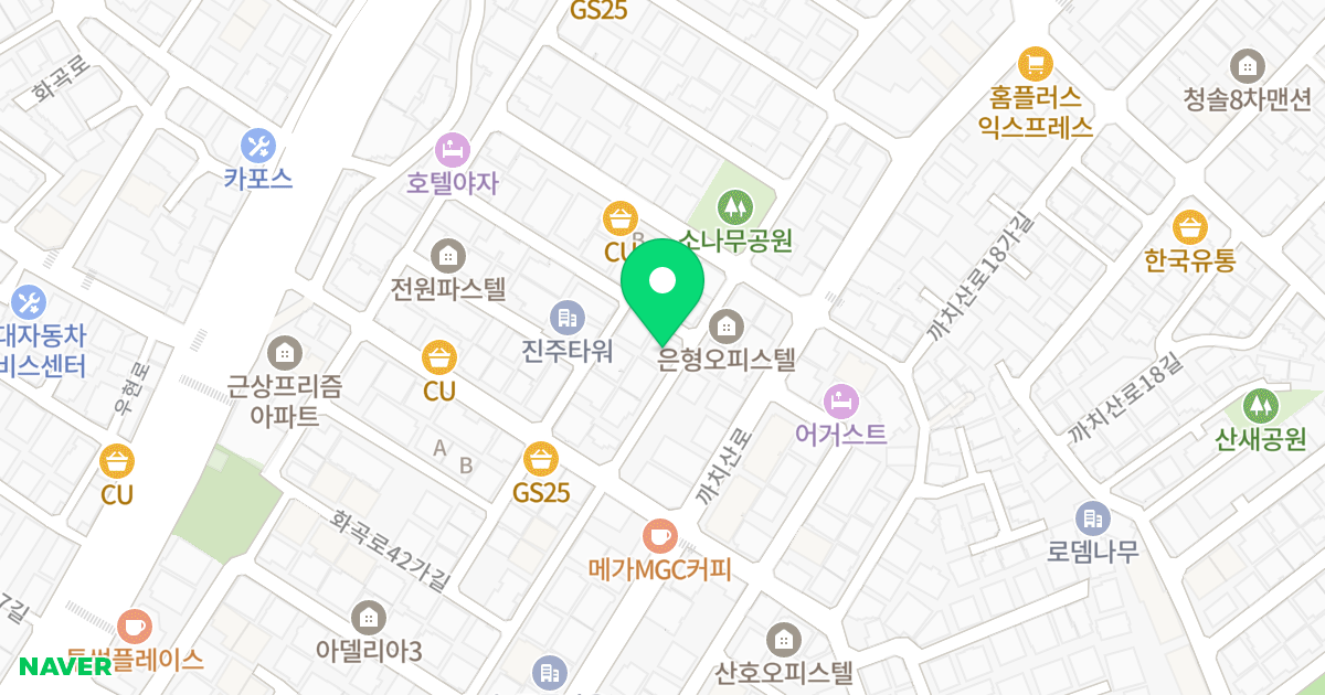화성오피스텔 위치 지도 - 서울특별시 강서구 초록마을로3길 55