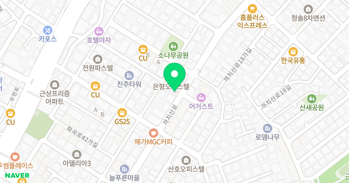 화성오피스텔 위치 지도 - 서울특별시 강서구 까치산로 89