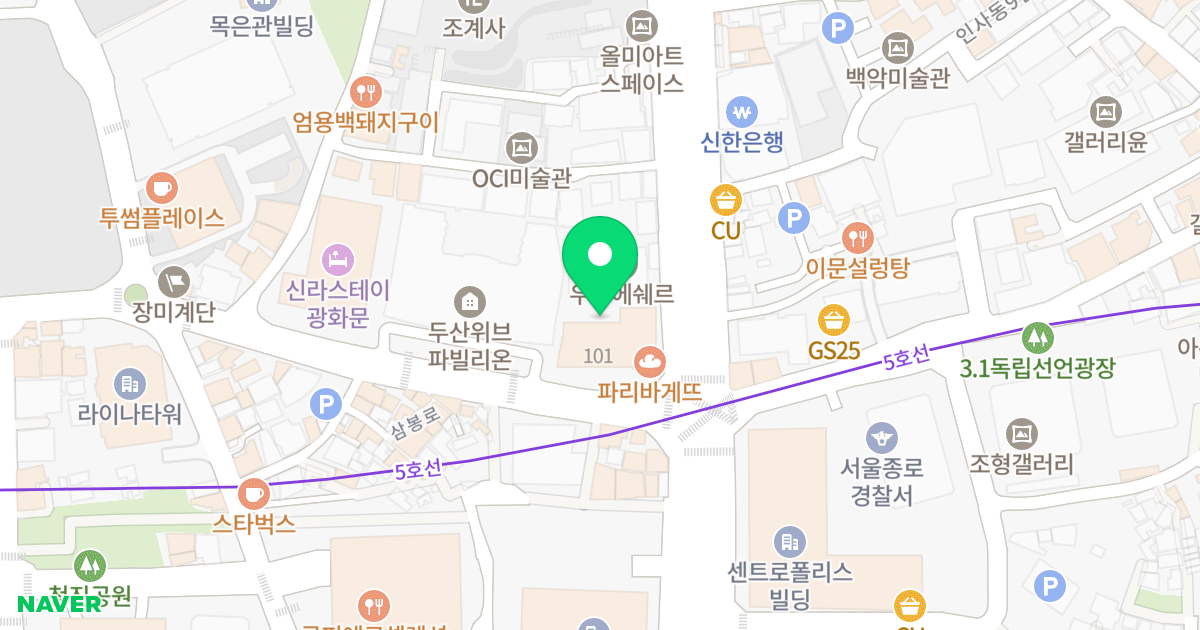 종로1가 대성스카이렉스 위치 지도 - 서울특별시 종로구 삼봉로 95