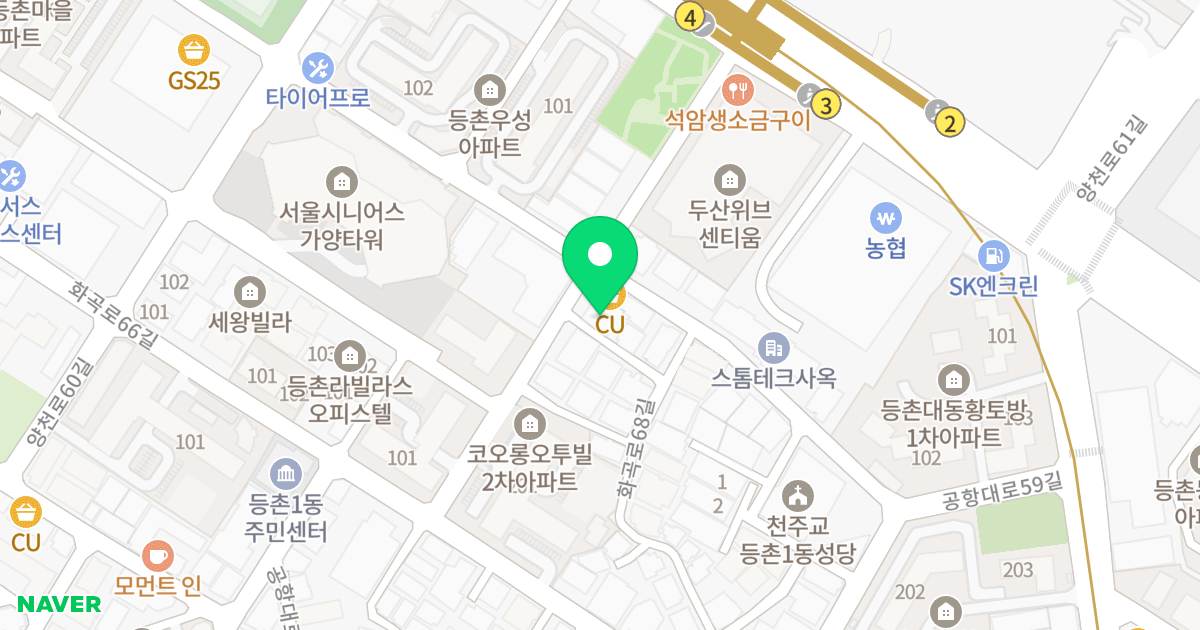 (636-1) 위치 지도 - 서울특별시 강서구 양천로62길 29-3